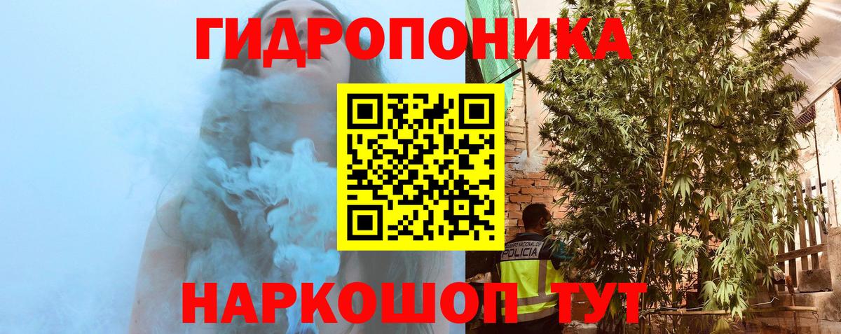 Димитровград  Бошки Шишки тримм  Вход с VPN  Канабис Amnesia  МАРИХУАНА Ganja 